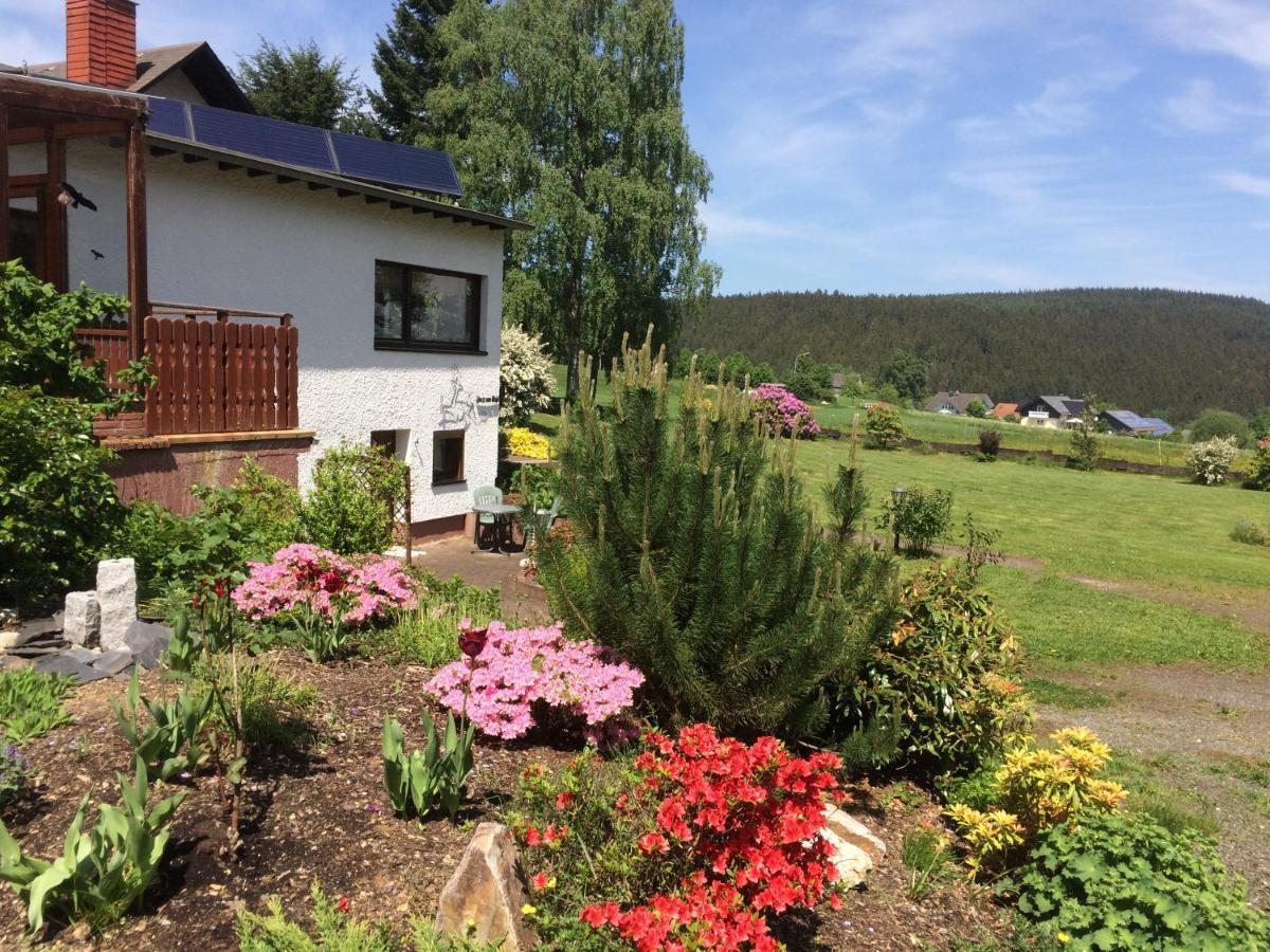 란그바일러 Haus Am Wald - Urlaub Am Nationalpark 아파트 외부 사진